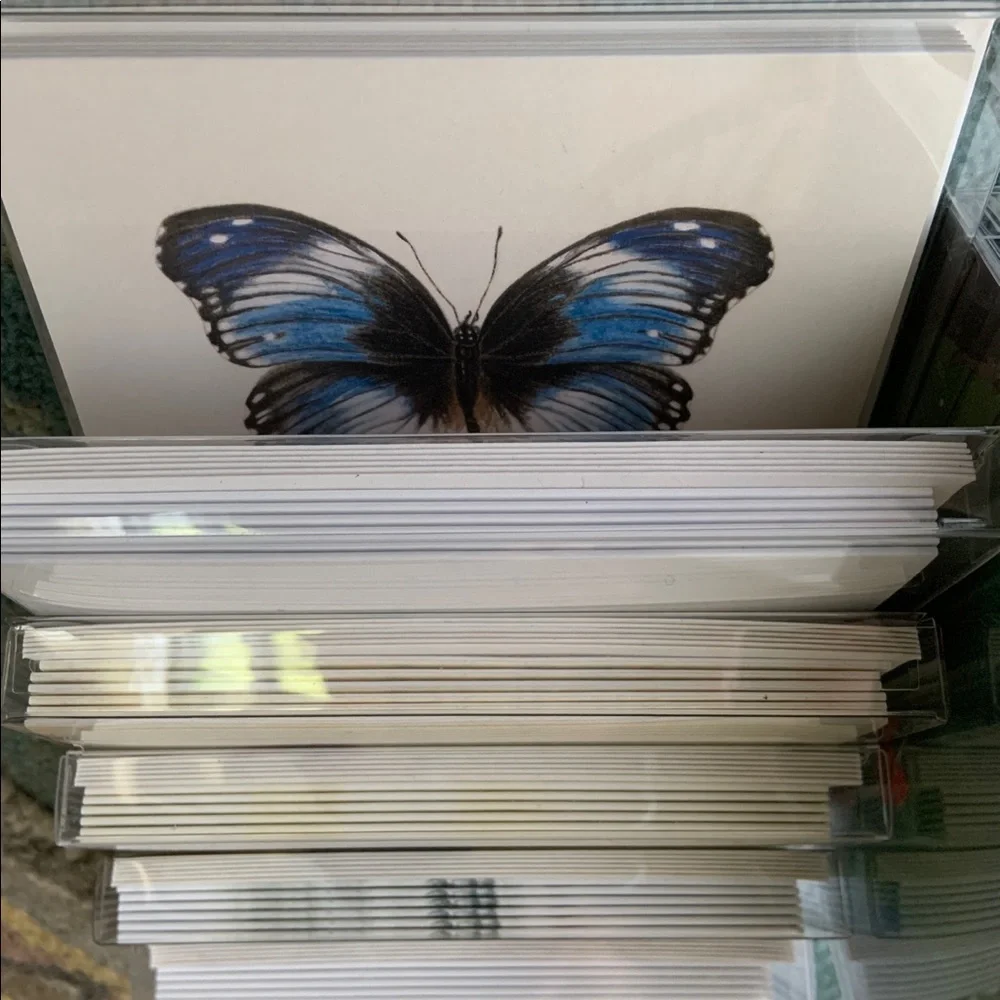 Boxed Set of 6 Note Cards. Whimsy Bluebird SKU 178